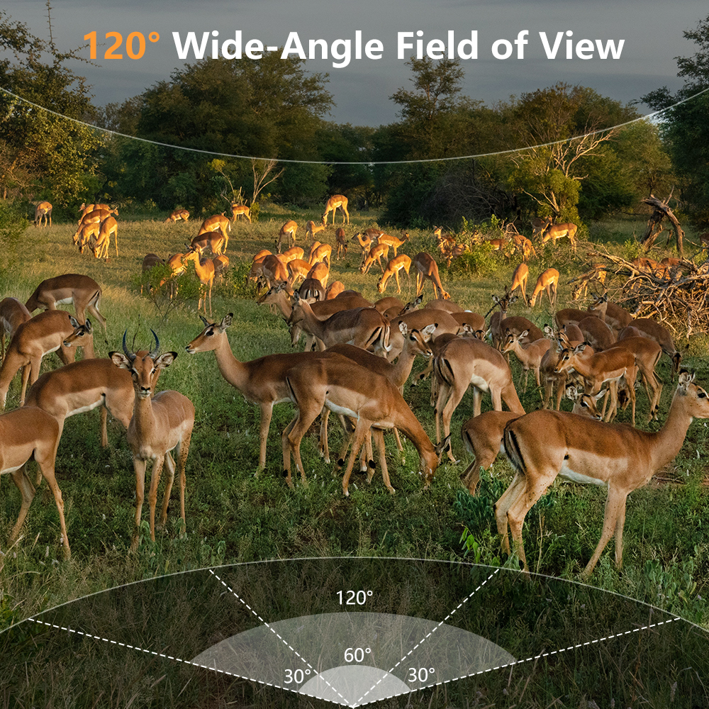 WiFi Trail Camera, 60MP Wildli - Hunting Outdoors Card ulasan dan harga