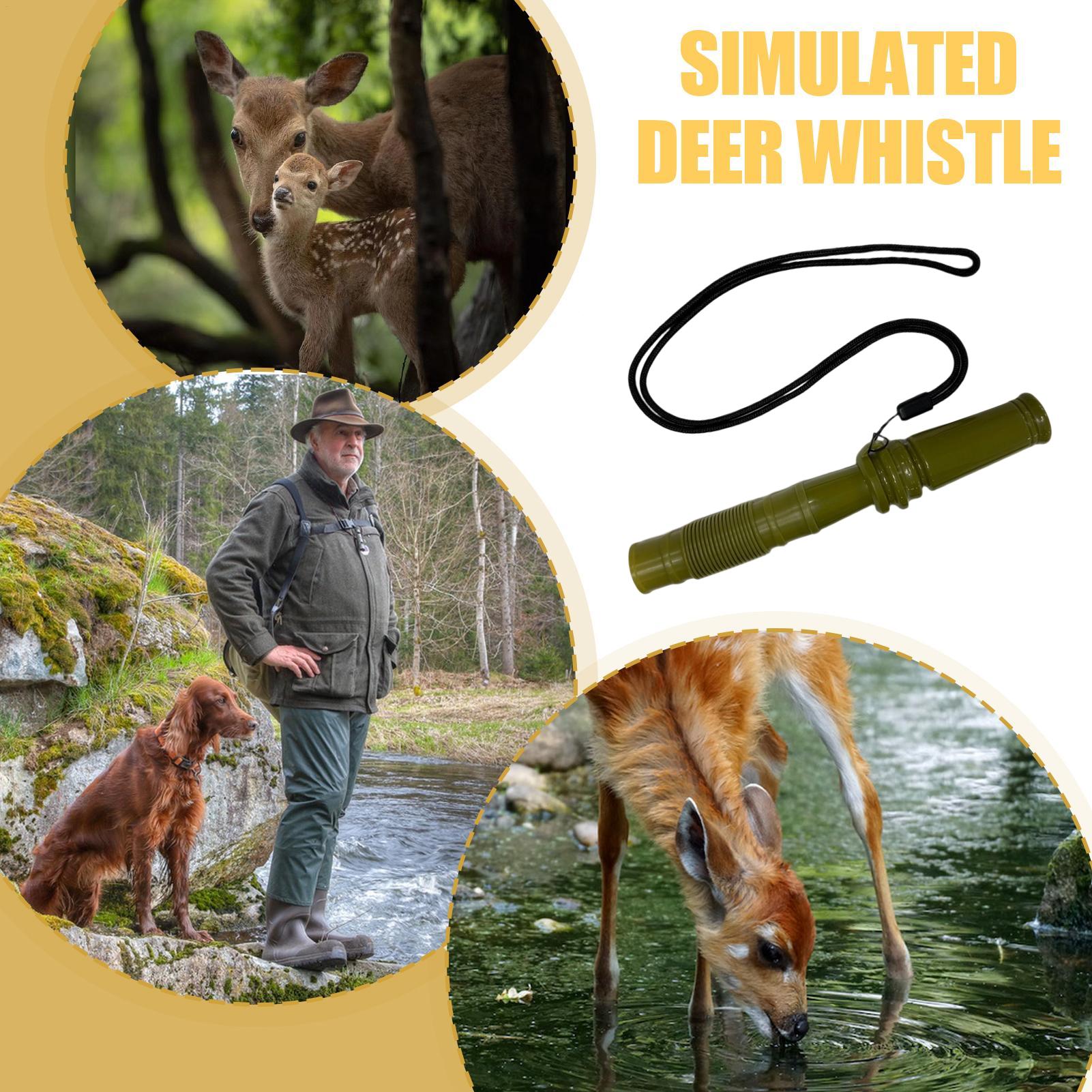 Rattling Antlers For Deer Hunt - Hunting And Outdoor Supplies ulasan dan harga