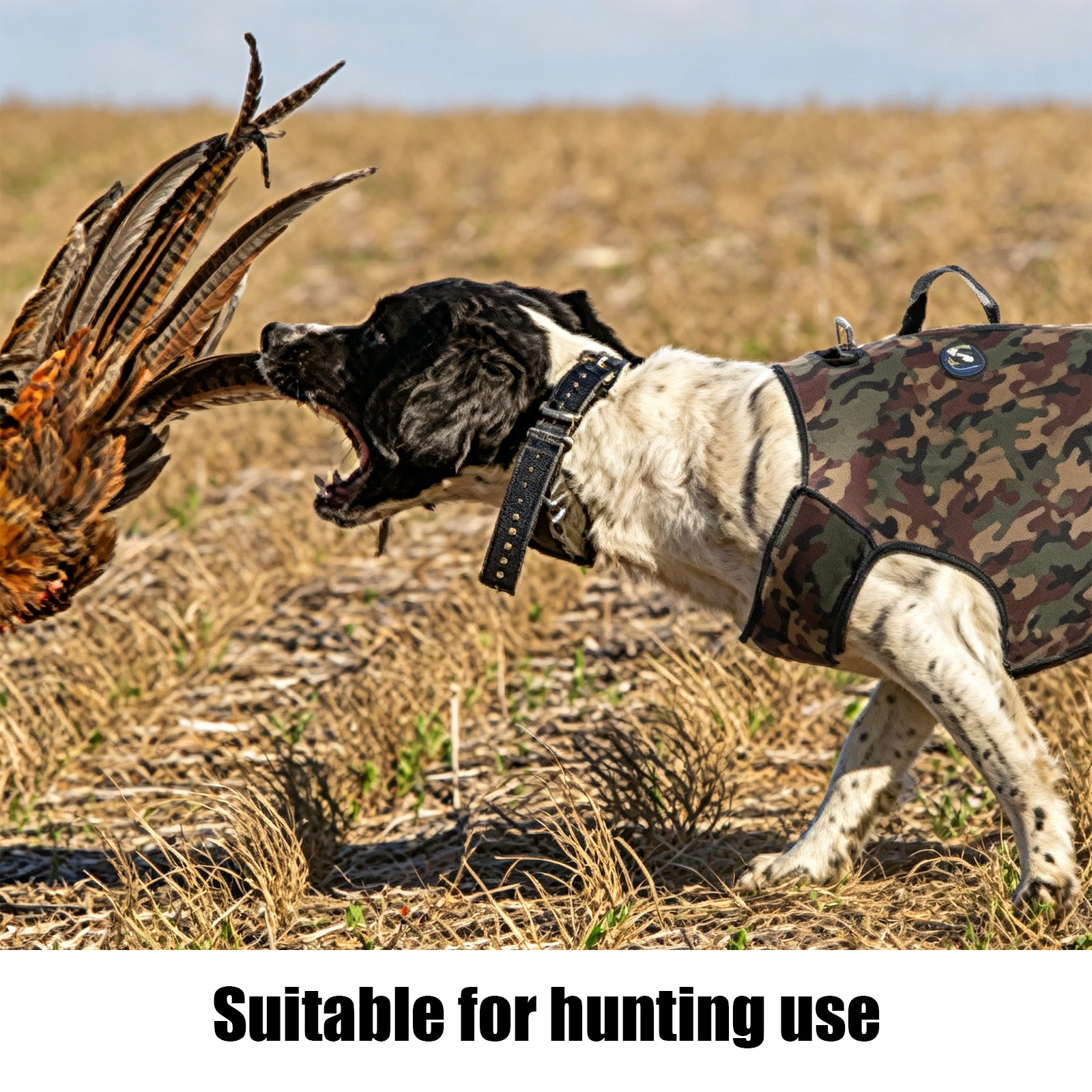 Camouflage Hunting Dog Clothes - Outdoor Hunting Hoodie ulasan dan harga