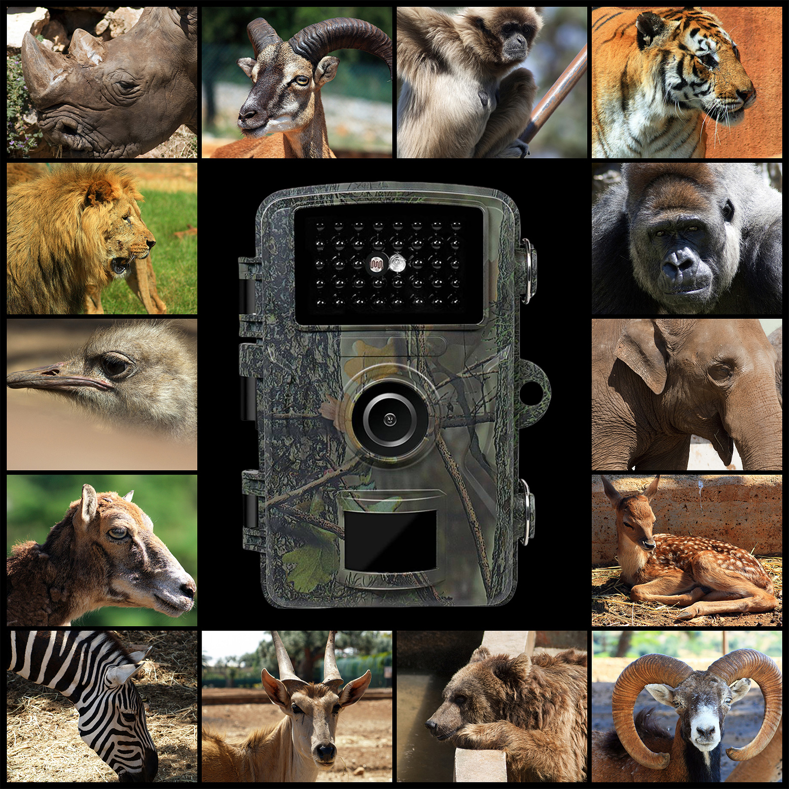 Outdoor Wildlife Camera 0.8s T - Hunting Outdoors Card ulasan dan harga