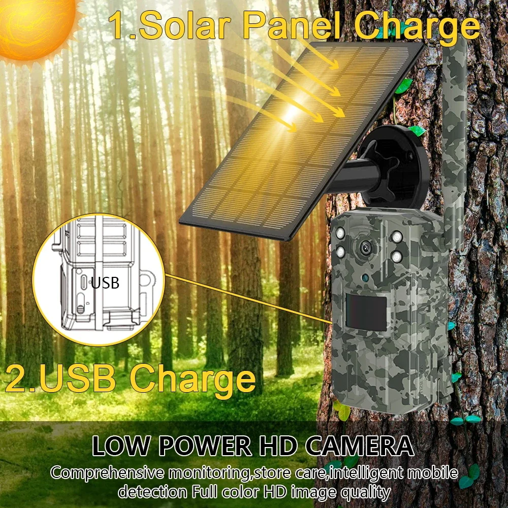 Solar Powered Hunting Trail Ca - Hunting Outdoors Card ulasan dan harga