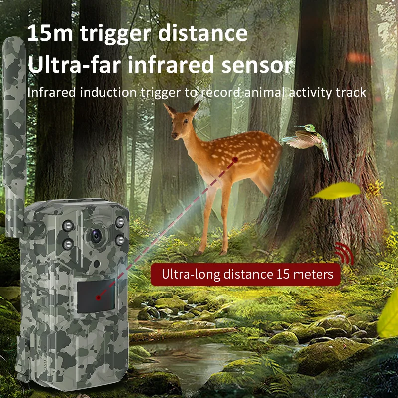 Solar Powered Hunting Trail Ca - Hunting Outdoors Card ulasan dan harga